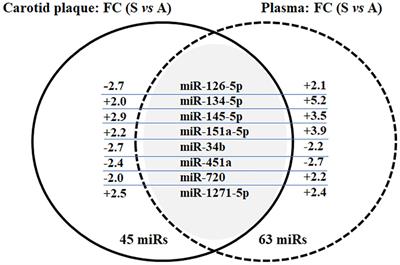 Circulating CXCL9, monocyte percentage, albumin, and C-reactive protein as a potential, non-invasive, molecular signature of carotid artery disease in 65+ patients with multimorbidity: a pilot study in Age.It